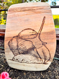 Schnecke, Brett