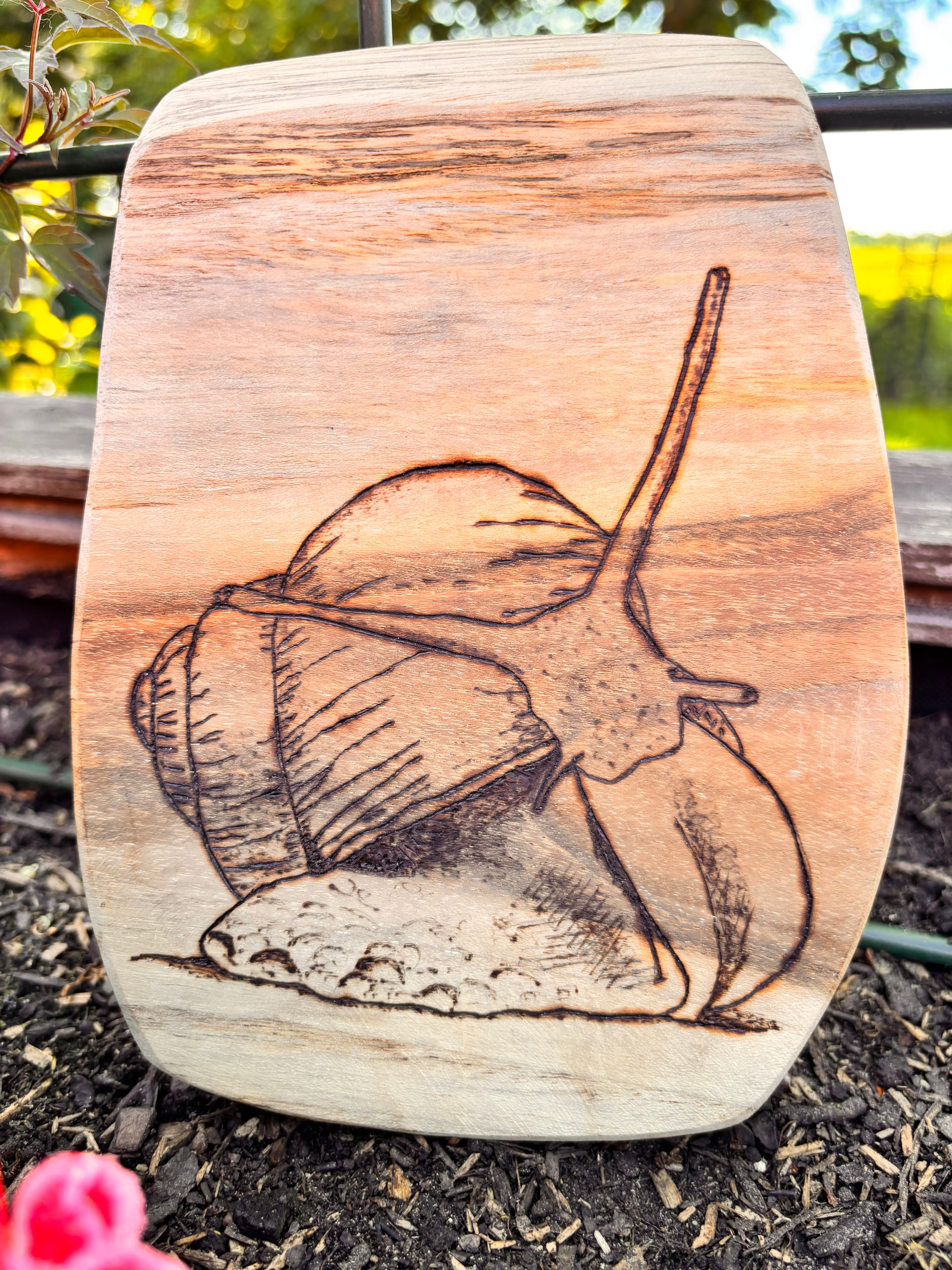 Schnecke, Brett