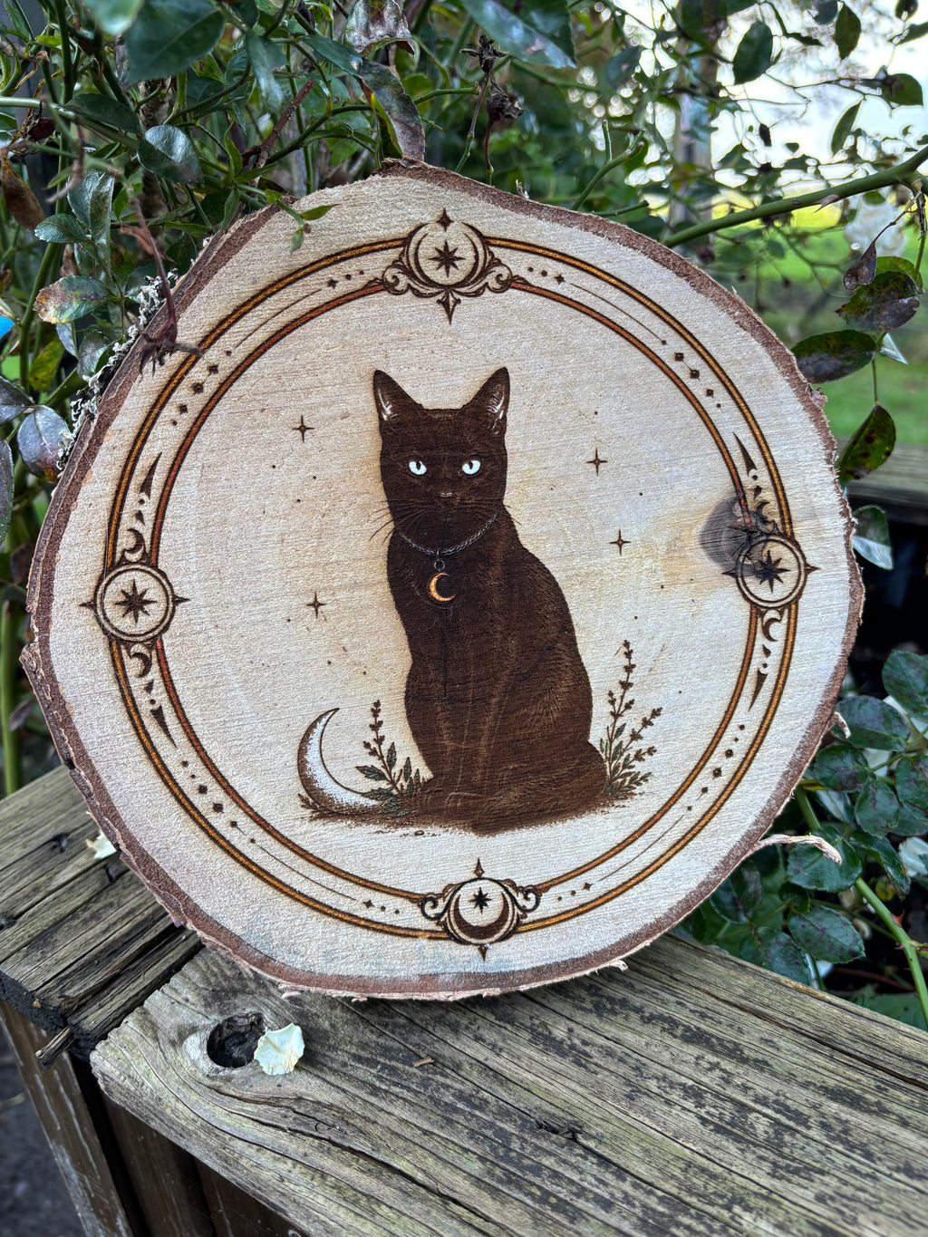 Baumscheibe aus Birke mit gelaserter schwarzer Katze, Mondsichel und Sternenrahmen