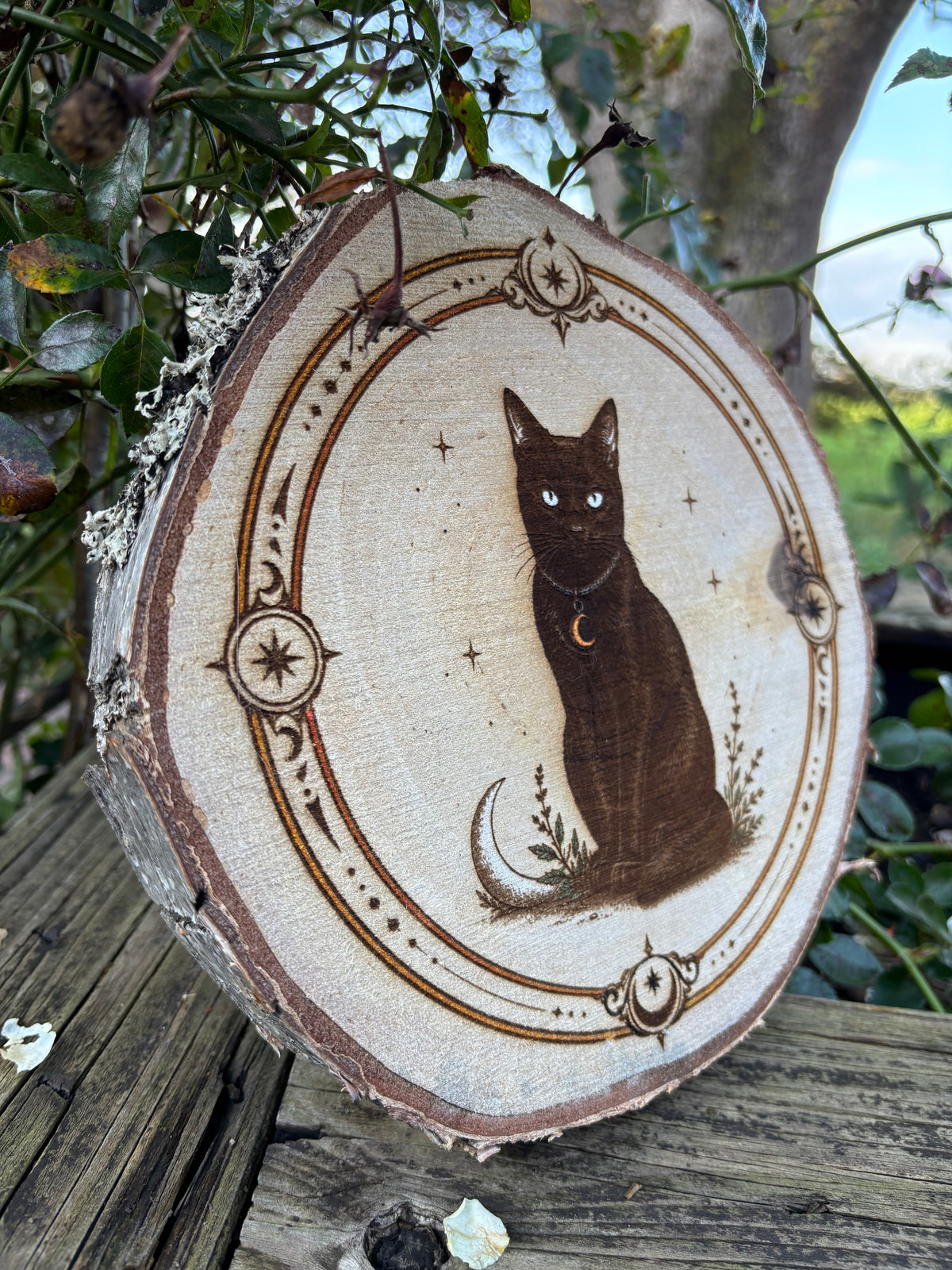 Baumscheibe Schwarze Katze mit goldenem Halbmond am Halsband von Whispering Woods Studio